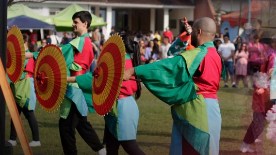 17ª Sakura Matsuri - Festa da Cerejeira